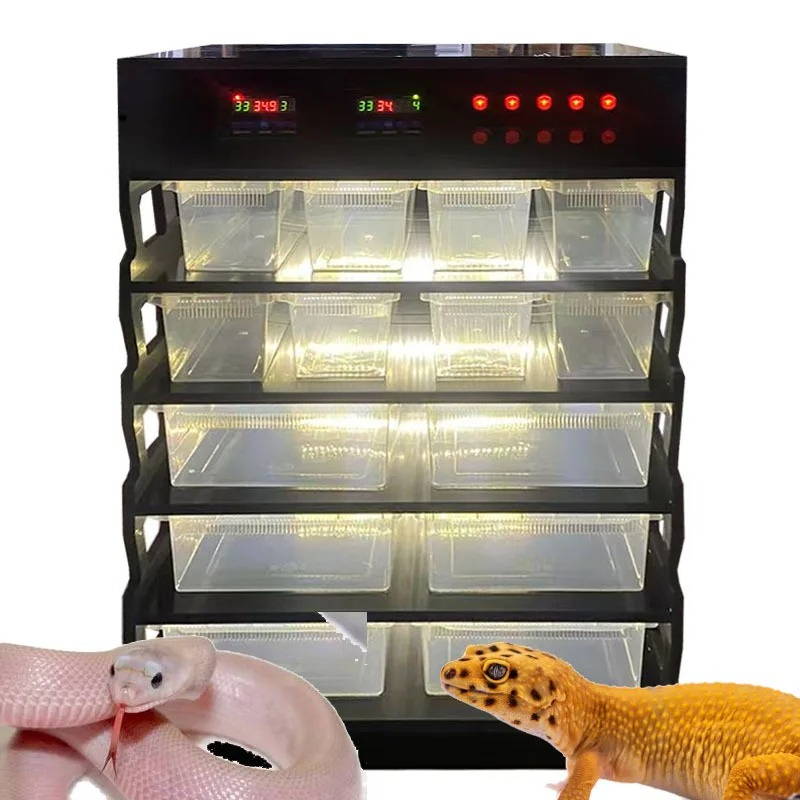 Gecko Lighting & Decor - 지능형 PVC 파충류 가구, 파충류 용품,