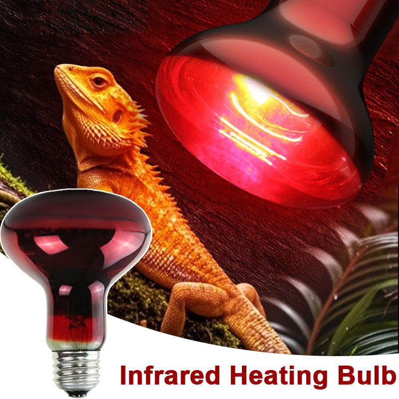 파충류 열등 100V/220V 적외선 전구 애완 게코  - Gecko Lighting & Decor 리뷰 및 가격