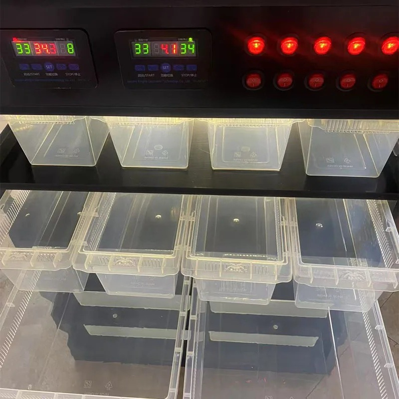지능형 PVC 파충류 가구, 파충류 용품, 파충류 베이 - Gecko Lighting & Decor 리뷰 및 가격