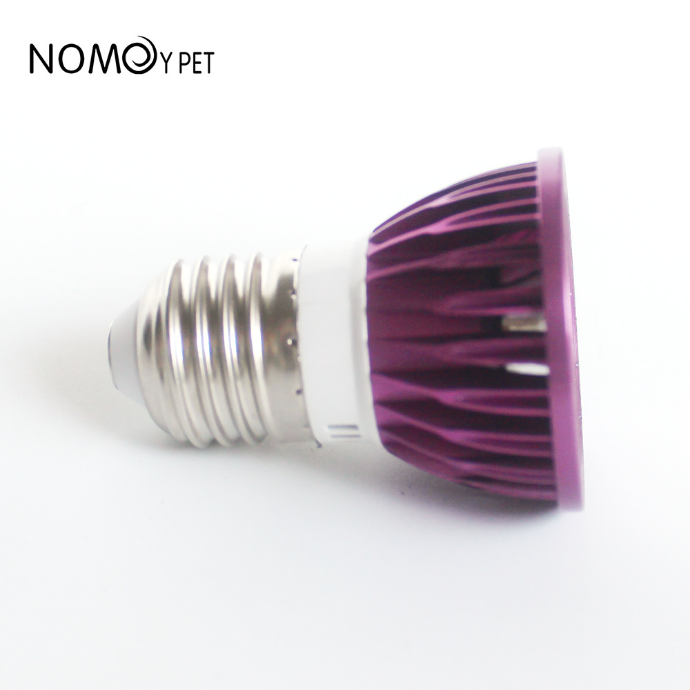 NOMOY 달빛 LED 야간 조명, 테라리움용, 비어디 - Gecko Lighting & Decor 리뷰 및 가격