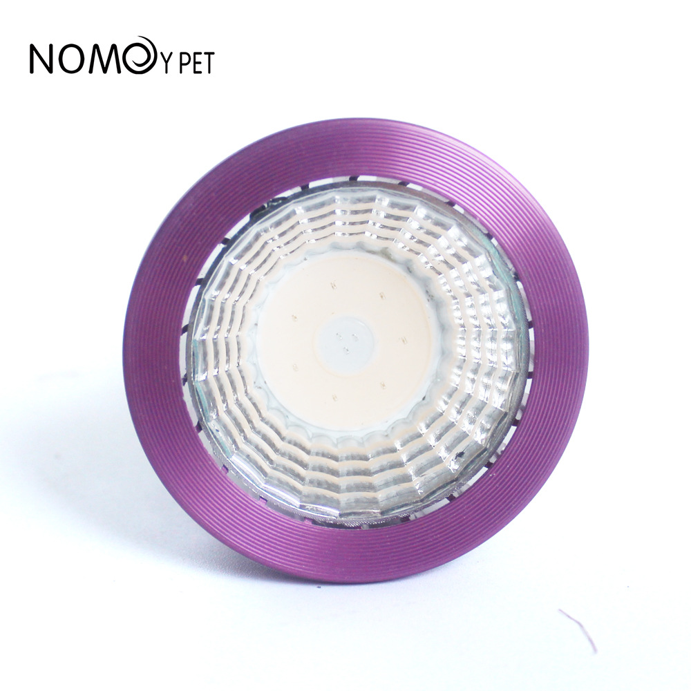 NOMOY 달빛 LED 야간 조명, 테라리움용, 비어디 - Gecko Lighting & Decor 리뷰 및 가격